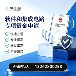 宿州软件和集成电路专项资金申报服务