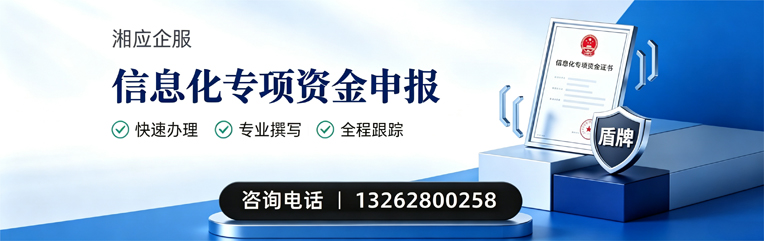 宿州信息化专项资金申报服务