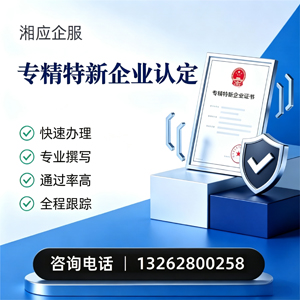 宿州专精特新企业申报服务