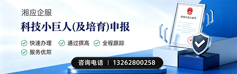 宿州科技小巨人及培育企业申报服务