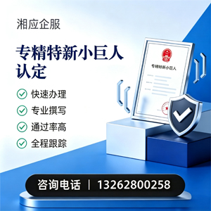 宿州专精特新小巨人申报服务