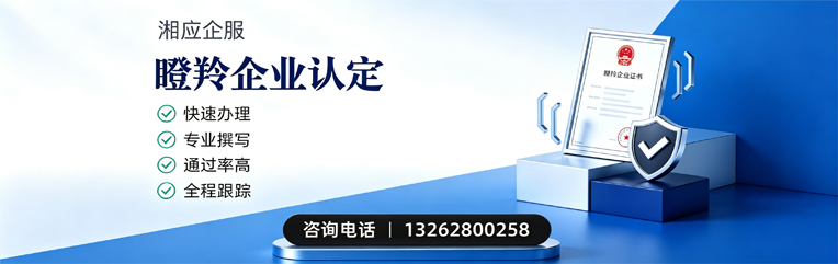 宿州瞪羚企业认定申报服务