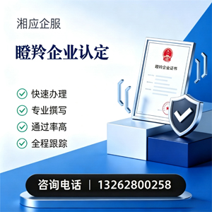 宿州瞪羚企业认定申报服务