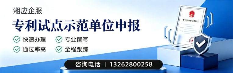 宿州专利试点示范单位申报服务