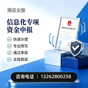 宿州信息化专项资金申报服务