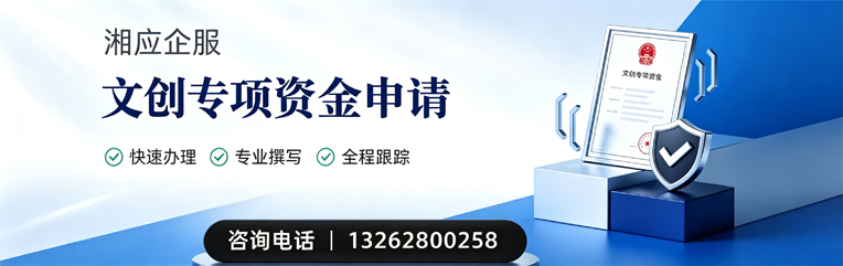宿州文创专项资金申报服务