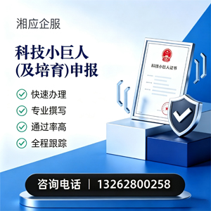 宿州科技小巨人及培育企业申报服务