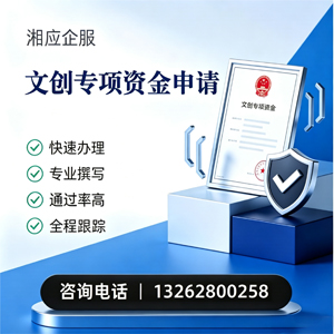 宿州文创专项资金申报服务