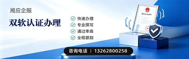 宿州双软认证申报服务