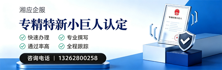 宿州专精特新小巨人申报服务